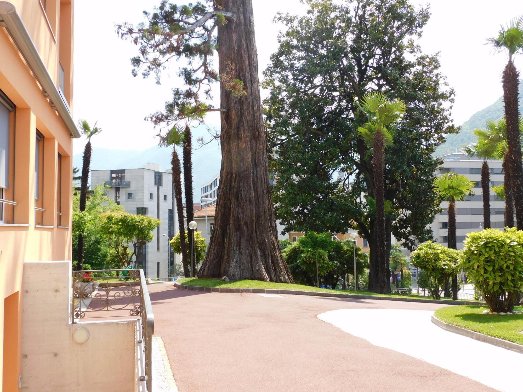 Casa Santa Birgitta Hotell Lugano Exteriör bild